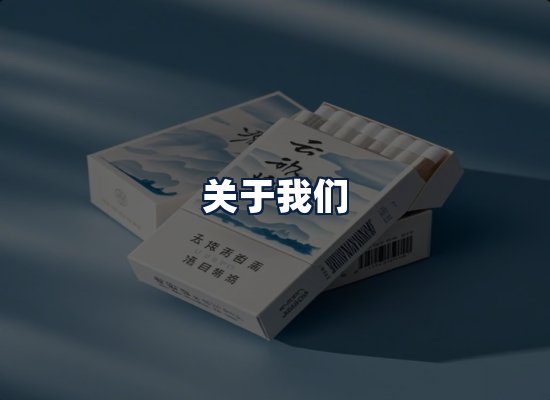 关于我们